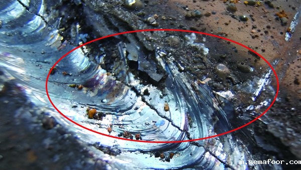 铁板裂纹修复膏