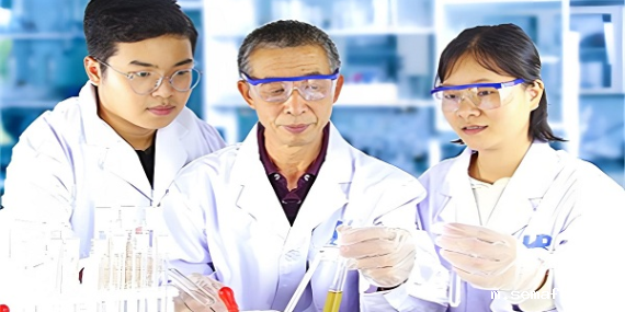 使用硅胶底涂剂时需要注意哪些问题？